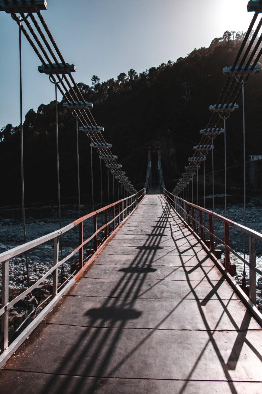 pexels-photo-2408240
